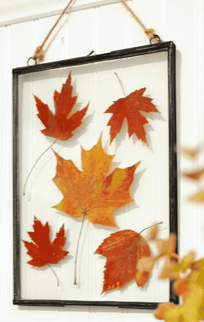 Mindful fall crafting with a beautifully framed picture of vibrant fall leaves, elegantly displayed on a wall, capturing the essence of autumn.